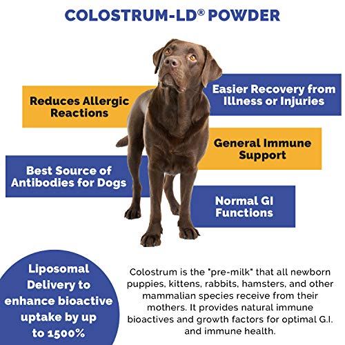 Veterinarian-Approved-Super-Pet-Nutrition-for-Dogs-and-Cats-Liposomal-Bovine-Colostrum-Rich-in-Immunoglobulins-25-Support-for-Immune-and-Digestive-Systems-Allergies-176-Ounces Veterinarian Approved Super Pet Nutrition for Dogs and Cats Liposomal Bovine Colostrum Rich in Immunoglobulins 25 Support for Immune and Digestive Systems Allergies 176 Ounces