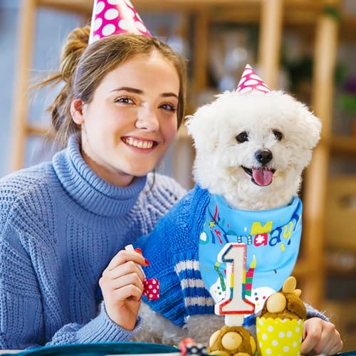 Oruola Halstuch Hund Geburtstag, Geburtstags Halstuch, Lang 66 cm Hunde Halstücher, Dreieck-Lätzchen für Verschiedene Größen, Hundehalstücher für kleine, mittelgroße und große Hund, Blau