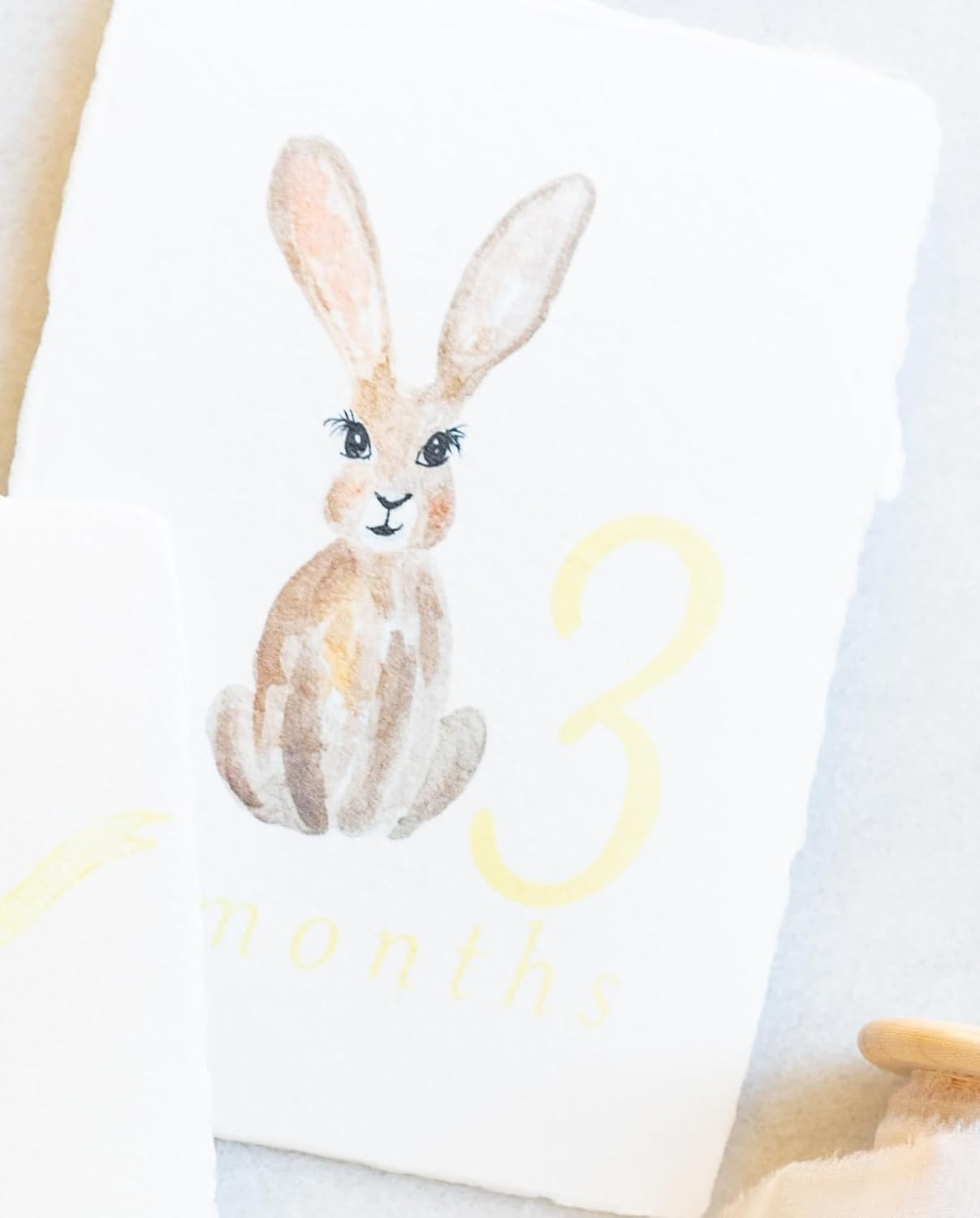 Baby Monthly Milestone Cards, Watercolor Pink Bow, Bunny and Stork Designs, Handmade Paper, 5x7 Inches, Set of 12 (Green Stork)