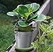 Juvale Mini Metal Bucket - 10 Pack, 3.3 x 2.5 x 3 in, Silver - Party Favor Buckets & Craft Pails - Tiny Galvanized Succulent Planter Vases