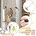 8 Pcs Doorway Cat Toys Indoor Feather Cat Toys Door Hanger Cat Toys Interactive Hanging Cat Toys Dragonfly Little Mouse Toys Retractable Cat Teaser Toys Kitten Toys for Play, 6 Styles (Cute Style)