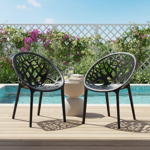 Image of SkyGlamour Neelkamal Crystal Plastic Chair for Living Room, Garden, Balcony Chairs Set of 2; Colour: Iron Black