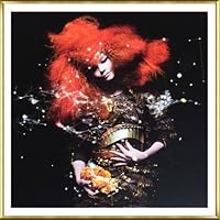 Amazon.co.jp: ポスター ビョーク Bjork（ビョーク）/Biophilla 2011年