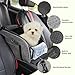 Petzauber Hundeautositz für Kleine Hunde – Hunde Autositz für Mittelkonsole, Tragbarer Hundesitz mit Doppeltem Sicherheitsgurt und Rutschfester Unterseite, Waschbarem Kissen, Lagerungstasche, Grau