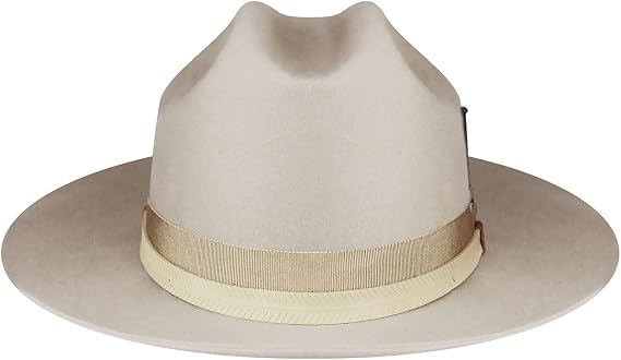 Bailey Darwin Fedora