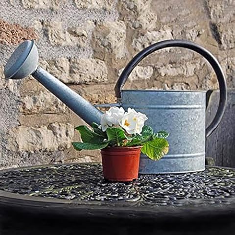 Tierra Garden Oval Watering Can 2.1-Gallon Cover