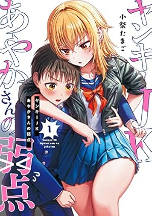 Amazon.co.jp: ヤンキーJKクズハナちゃん 1 (1) (少年