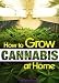 How to Grow Cannabis at Home: A Pot-Lover's Guide to Growing Cannabis Indoors for Self-Consumption - ( Growing Marijuana Indoors | Growing Weed Indoors )