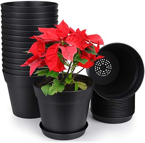 homenote Pots for Plants, 15 Pack 6 inch Plastic Planters with Multiple Drainage Holes and Tray - Plant Pots for All Home Garden Flowers Succulents (Black)