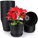 homenote Pots for Plants, 15 Pack 6 inch Plastic Planters with Multiple Drainage Holes and Tray -...