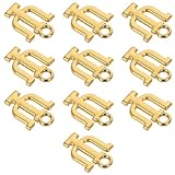 GALPADA de del para Proyectos de Joyería 10 Dijes Dorados de Aleación de Zinc Diseño Único y Combinaciones Versátiles para Pulseras y Pendientes