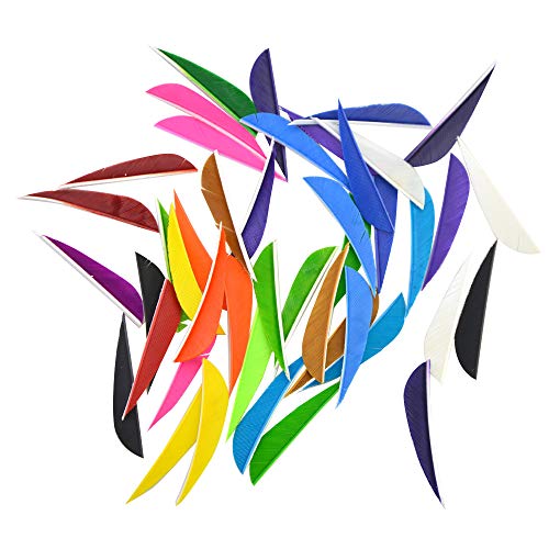 Ameyxgs 50Pcs 2" Arrow Feathers Crossbow Natural Turkey Fletches Diy Arrows Fletching Right Wings Vanes For Crossbow Hunting Arrow (Purple 1) #TOP5