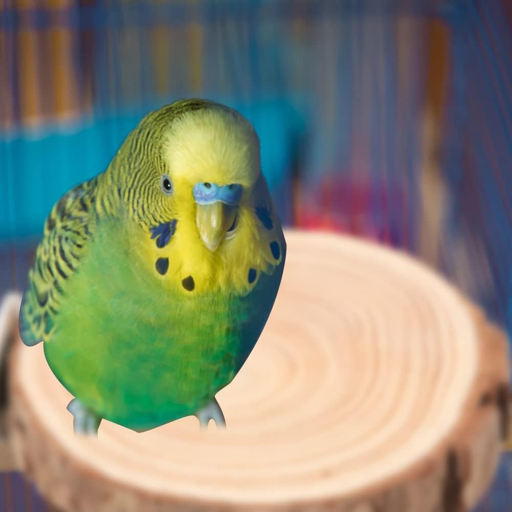 Okrągła Drewniana Trampolina Papuga Okonie Stojak Zabawka Ptak Papuga Okoń Platforma dla Małych Papug Nimfy Chomik(6cm)