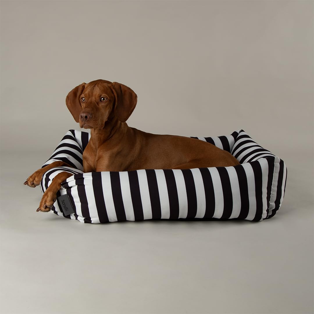 Scruffs Amalfi Dog Box Bed (XL)