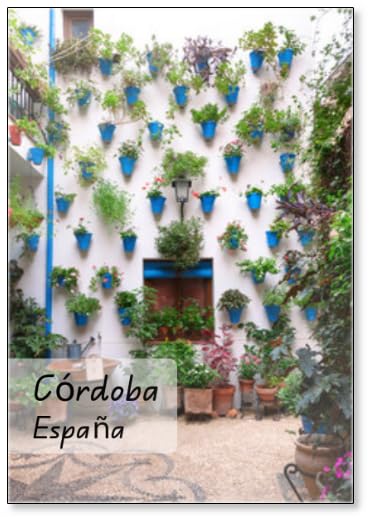 Preciosa Fachada De Patio Andaluz Decorada Con Plantas Colgadas De La Pared En Macetas Azules Y Repartidas Sobre Suelo De Piedra Con Mosaico. Córdoba, Andalucía, España. Viajes Y, imán para nevera