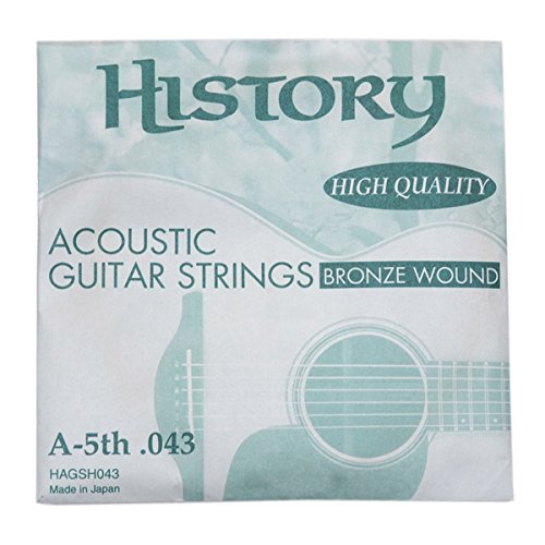 HISTORY HAGSH043 AR[XeBbNM^[ A-5th .043 o1{ (qXg[)