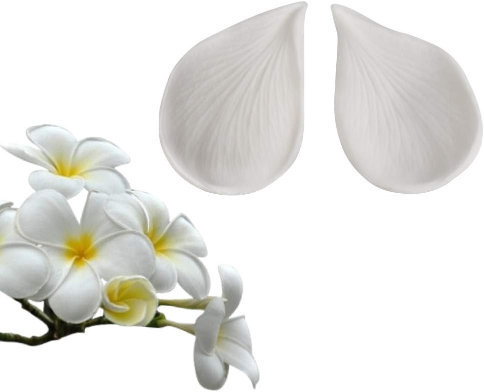 AK ART KITCHENWAREGum Paste Flower Tools Plumeria Petal Veiners for Decorating Cake Silicone Veining Molds Fondant Tools (VM120)