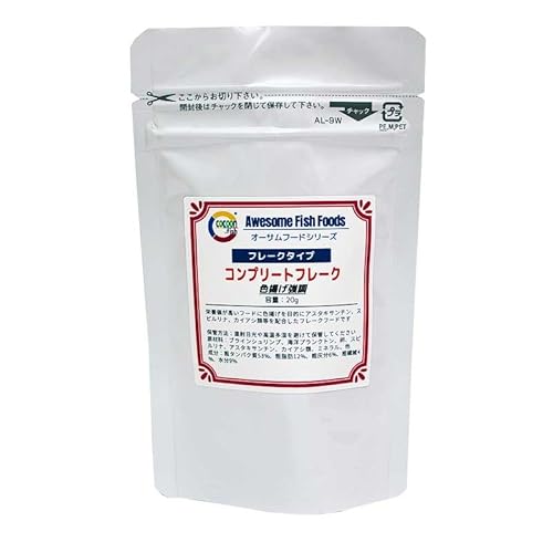 RN[ Rv[gt[N yFgz 20g ^pN h{ ̐ƌNi Fg Ϗ܋̉a