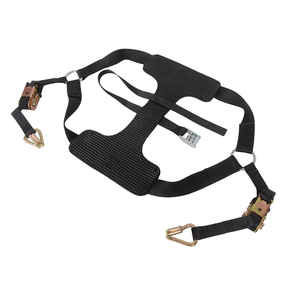 MOTO4U Correa de amarre universal para motocicleta con tensor de cinturón - Correa de amarre para rueda trasera de motocicleta en negro