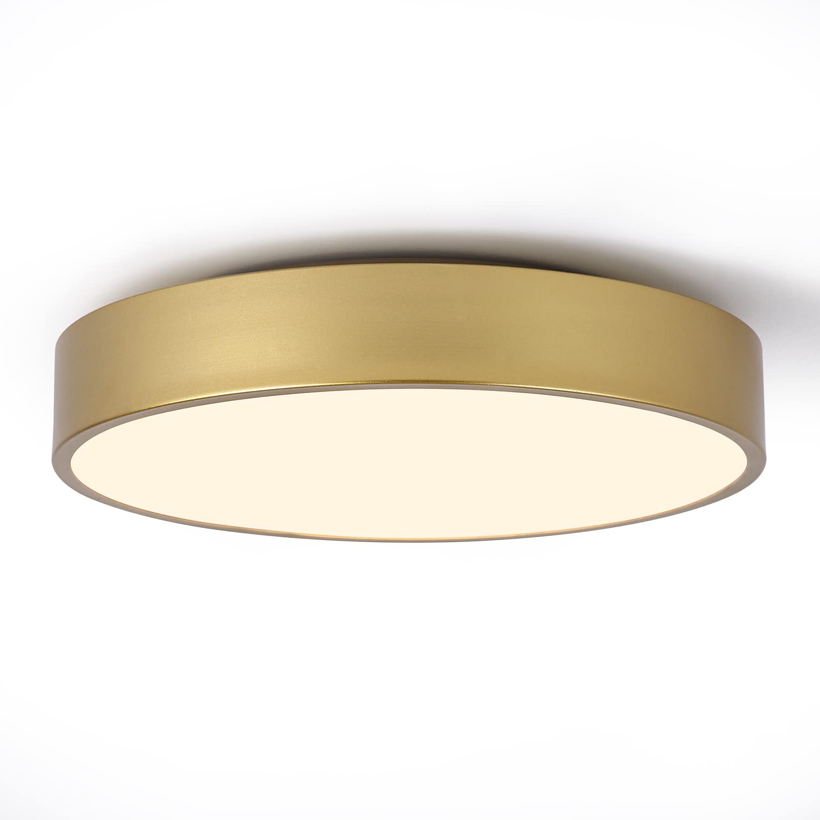 Goomavi Modern Flush Mount Ceiling Light,Round Gold Ceiling Light