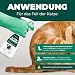 Silberkraft Milbenspray Katzen 500ml - Effektives Anti Milben Spray für Katzen - Milbenbefall behandeln Ohrmilben Räudemilben Katzenmilben