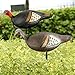 Turkey Decoy for Hunting - 4 Pack Turkey Decoys with Collapsible Stake, Foldable Lightweight Hen Decoys, Funky Jake Decoy, Realistic Fan Decoy, Hunting Gear Accessories for Field, Forest & Outdoor
