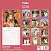 Collie 2026 Calendar | Square Wall Calendar | Dog Breed Gift | Plastic Free Packaging | by Avonside Publishing