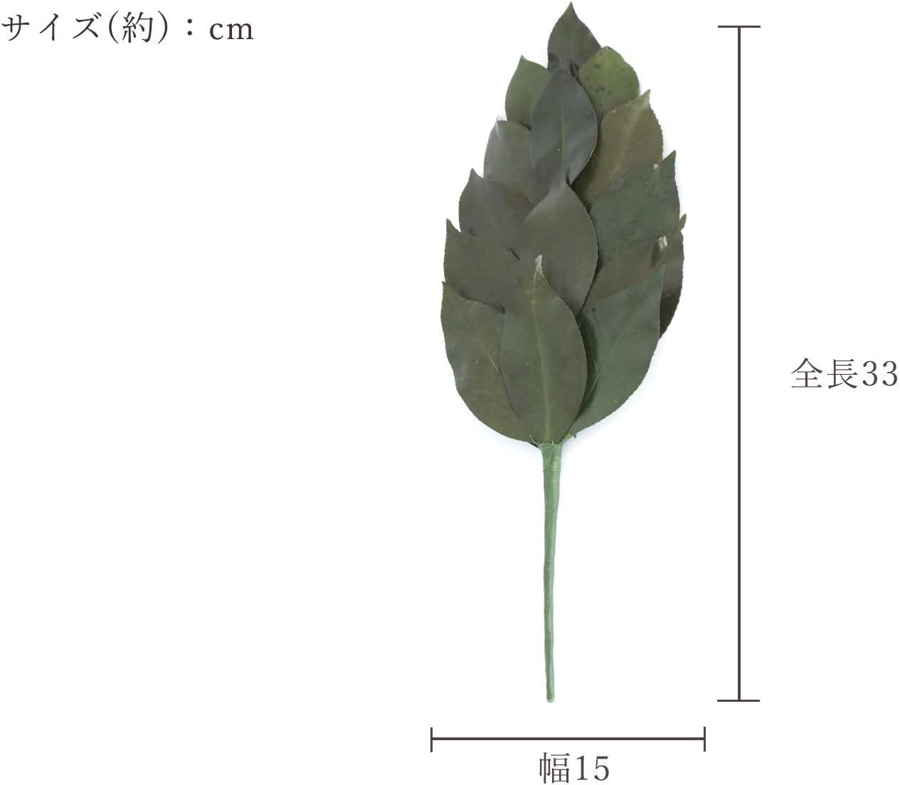 榊 造花ではない天然の葉 プリザーブド榊 一対 中 神棚用 神具 お供え 国産 神棚 神具 仏具 盆提灯 [並行輸入品]