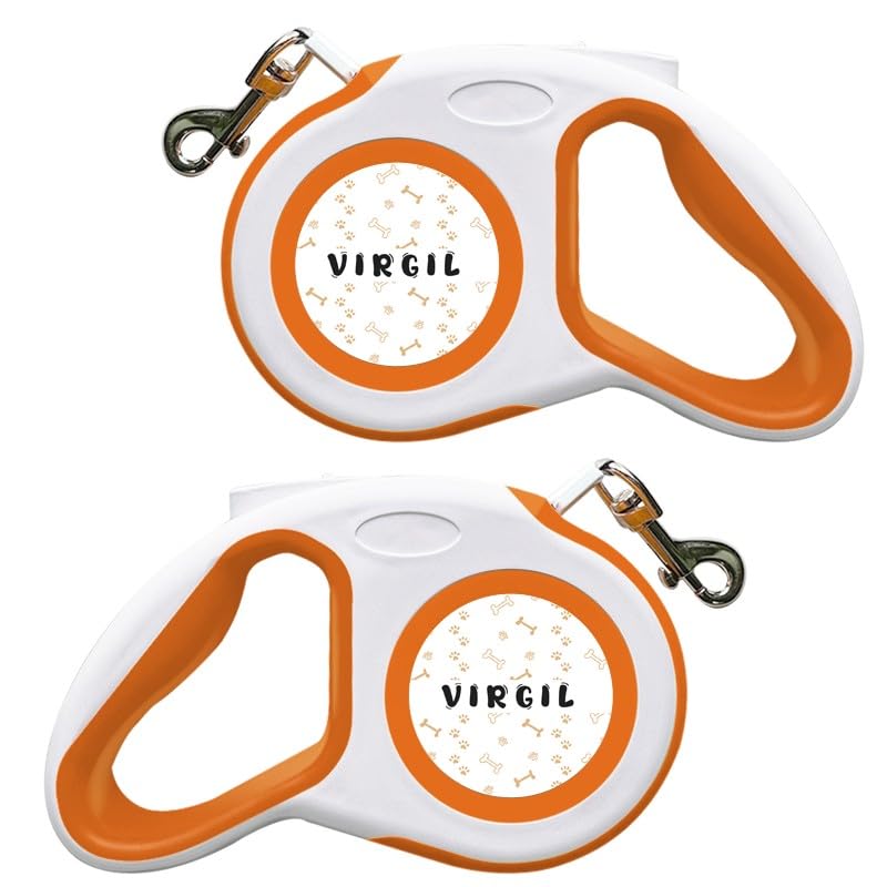 New Retractable Dog Leash, Double-Sided Custom Creative Design Pet Walking Leash for Dogs, Personalized Your Pet's Name, Up to 16Ft Maximum of Extension with Self-Locking Buttons