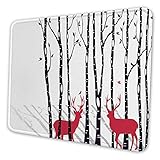 Größe: 240 mm x 200 mm x 3 mm (9,5 