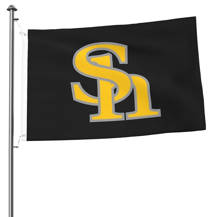 福岡ソフトバンクホークス 球団旗 Amazon.co.jp: 福岡ソフトバンクホークス 旗 野球の旗 応援 野球