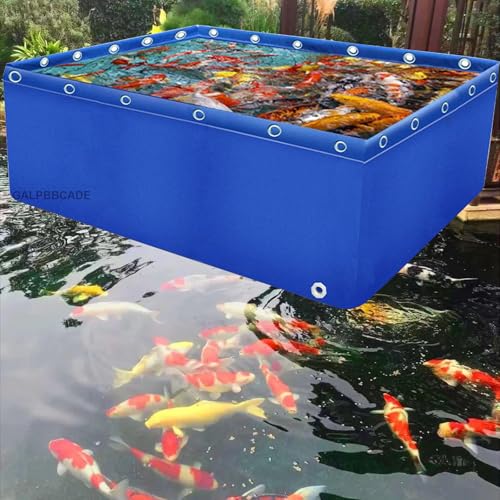 Réservoir d'eau d'aquaculture pliable en toile PVC avec vanne et cadre en acier