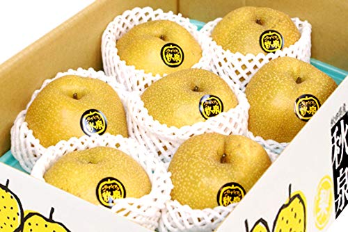 JA秋田なまはげ 秋田産 梨「秋泉」ジャンボ梨