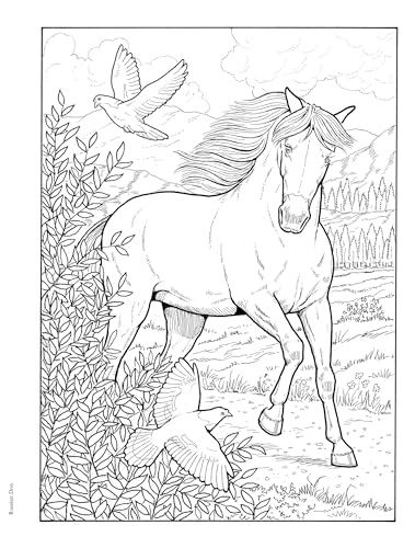 Adult Coloring Great Horses Coloring Book (Adult Coloring Books: Animals) - Image 11