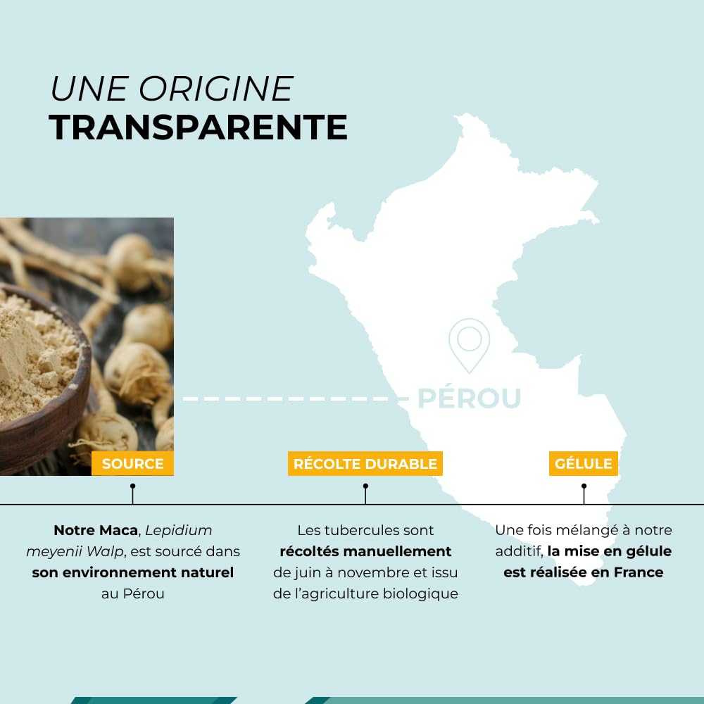 Maca Jaune - CUURE - Racine Naturel du Pérou - Perfomances Physiques et Sportives - Fertilité - Régulateur Hormonal - 60 Jours - Conditionné et Formulé en France