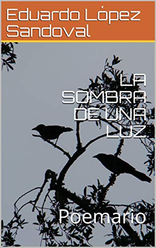 LA SOMBRA DE UNA LUZ : Poemario (Spanish Edition)