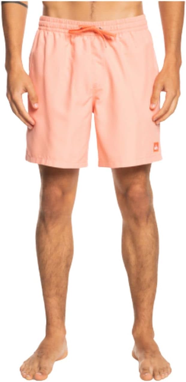 Quiksilver Men's Standard Everyday 17 Volley Swim Trunk Bathing Suit