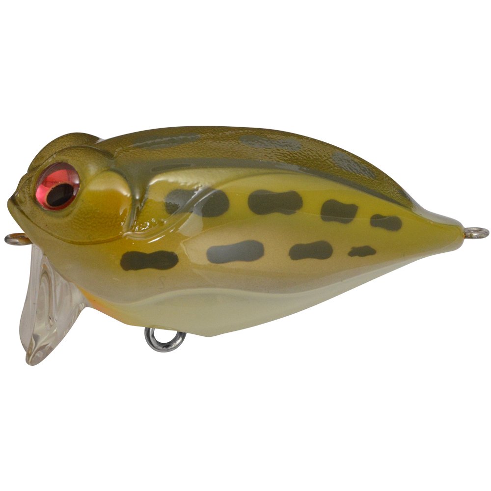 Amazon.co.jp: メガバス(Megabass) NOISY CAT FLIPPER(ノイジー