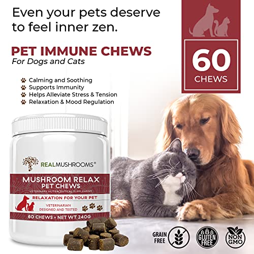 Real Mushrooms Turkey Tail For Humans (90Ct) & Mushroom Pet Relax Chews (60 Chews) - Bundle For Immunity & Relaxation - Vegan, Non-Gmo, Gluten-Free, Grain-Free Mushroom Extract Supplements #TOP3