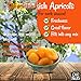 Oh! Nuts Dried Apricots Turkish - 2 lb - Dried Fruit - No Sugar Added - Dehydrated Fruit Bites - Packed in New York Zip-Seal Bag for Exceptional Freshness
