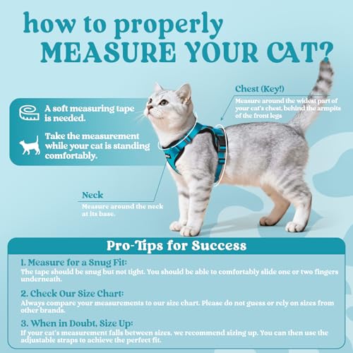 Image of rabbitgoo Cat Harness and Leash Set, Escape Proof Vest, Teal