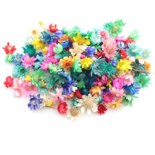 120 piezas de flores secas pequeñas para manualidades miniatura 1