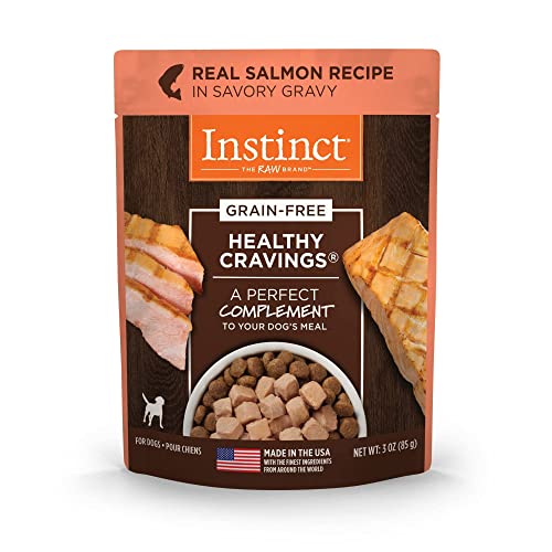 10 Best Salmon Instinct Dog Foods to Feed Your Canine Pal A