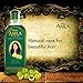 Dabur Amla Hair Oil – Nourishing Herbal Oil for Stronger, Thicker & Shinier Hair – Enriched with Amla Extracts to Reduce Fall, Strengthen Roots & Promote Healthy Growth – 500ml