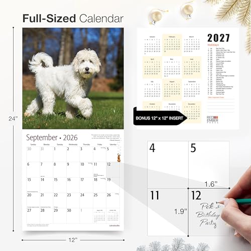 Image of RED EMBER Labradoodles 2026 Wall Calendar 12 Month | 12 inch x 24 inch Open | Thick & Sturdy Paper | Giftable | Cute Labrador Retriever Poodle Puppy Dog Calendar 2026