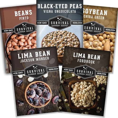 Dry Bean Seeds for Planting 5 Varieties - Survival Garden Seeds
