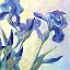 The Blue Warbler Flower