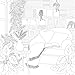 Cozy Bookshops: Colouring Book: For fans of Coco Wyo, colour your way to relaxation with charming scenes of bookstore bliss
