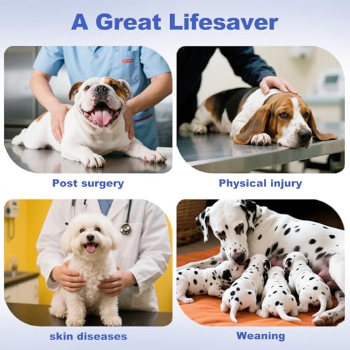 Image of CuteBone Recovery Suit for Dogs Cats After Surgery, Prevent Licking Dog Onesies Pet Surgery Recovery Suit Shirt Abdominal Wounds Bandages SSF11L