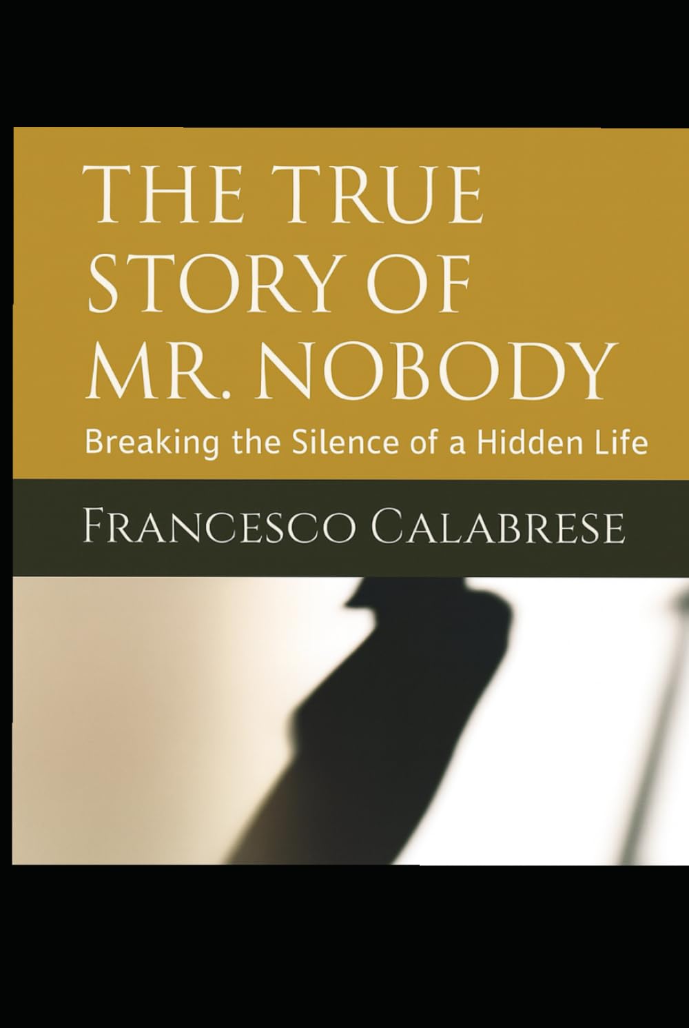The True Story of Mr. Nobody: Breaking the Silence of a Hidden Life
